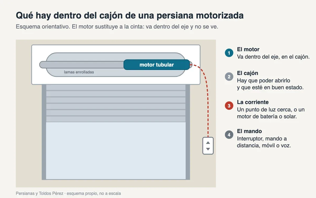 Esquema de una persiana motorizada: el motor tubular dentro del eje, el cajón, el cable de corriente y el interruptor